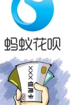 套花呗平台的风险与排查