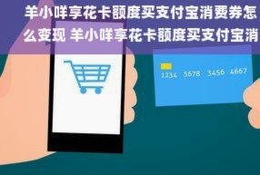 羊小咩享花卡额度怎么开通