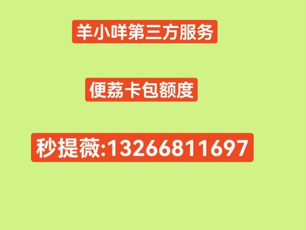 羊小咩购物额度怎么提额