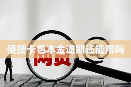 便荔卡包在数字时代还有用武之地吗？