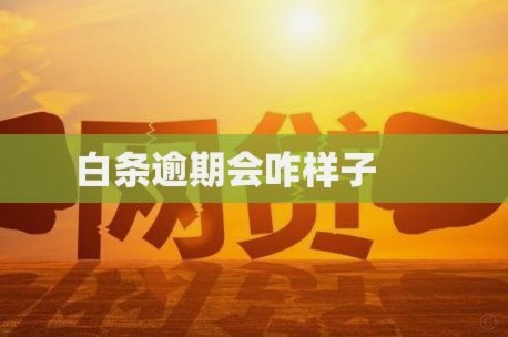 白条取现有什么危害吗