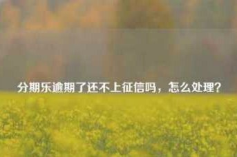 分期乐合规性：风险与挑战