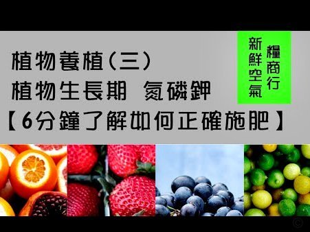 得物分期买什么套现