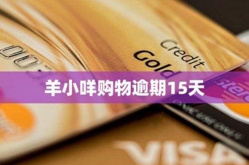 羊小咩可以取消订单吗
