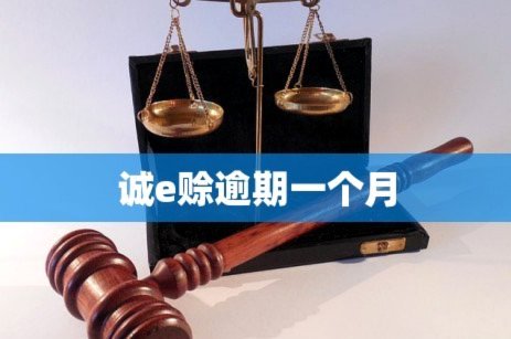 先采后付(原诚e赊)套出来怎么套