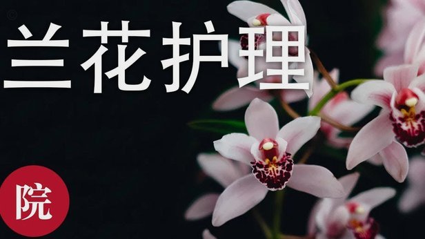 花呗兑现：信用额度的变现之道