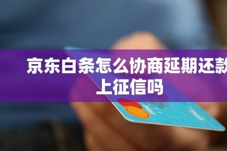 白条延期还款指南：流程、成本与注意事项全攻略