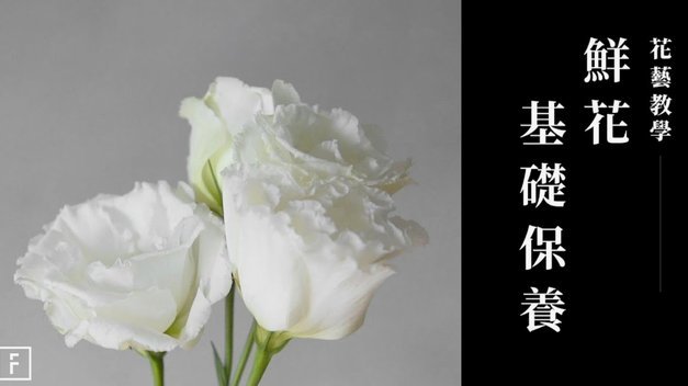 花呗提现全攻略：手到擒来