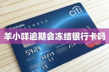 羊小咩能借出来款不