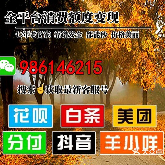 伪装额度，商家：欺诈额度伪装额度是伪装