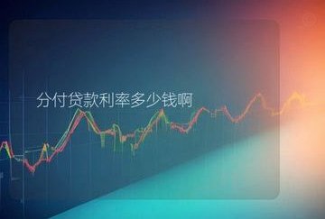 分付一次性可以付多少钱