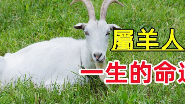 羊小咩额度提现商家