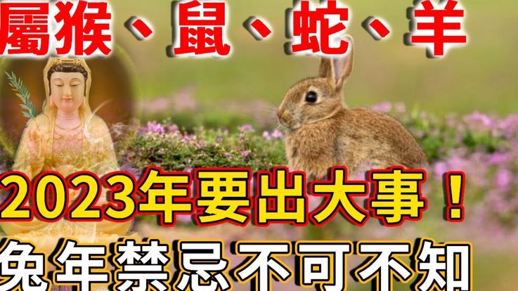 羊小咩是什么贷款平台