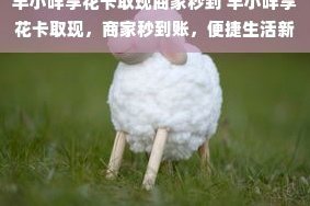 羊小咩：秒到即用金融新体验