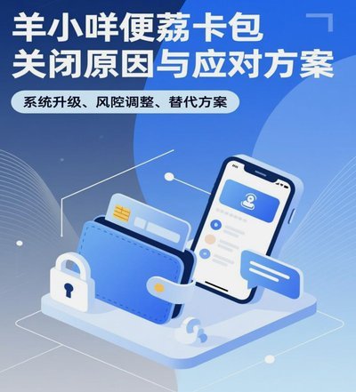 羊小咩便荔卡：获取与风控解析