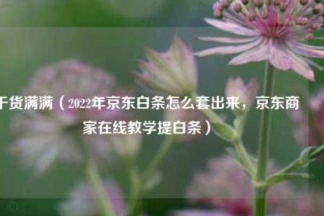 花呗提现套现机制与风险
