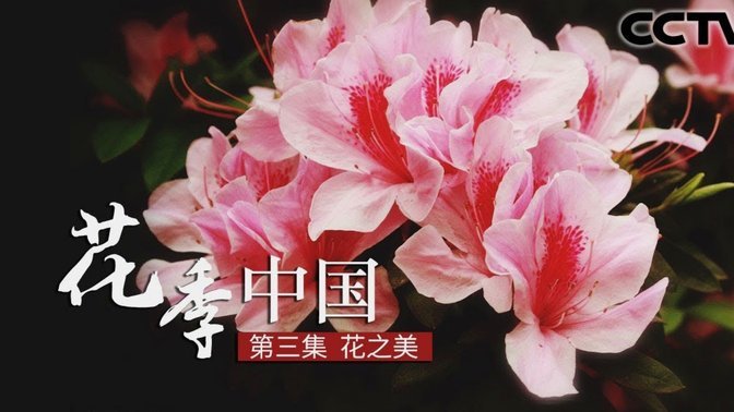 花呗秒套平台是真的吗还是假的