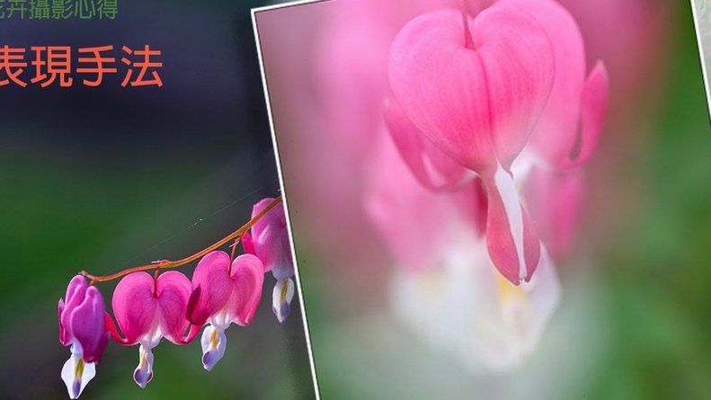 花呗怎么了提现