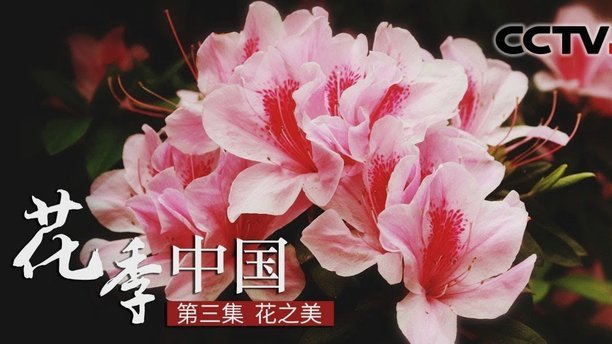 分付可以一次花多少