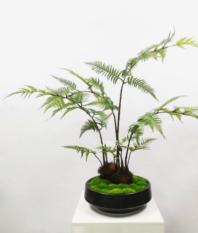 花呗提现：风险与乱象