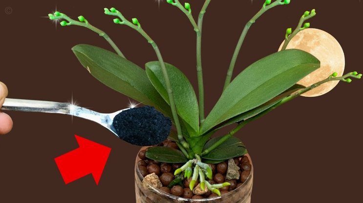 携程