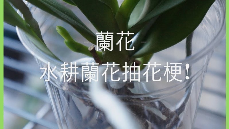 携程“拿去花”：别想直接取现