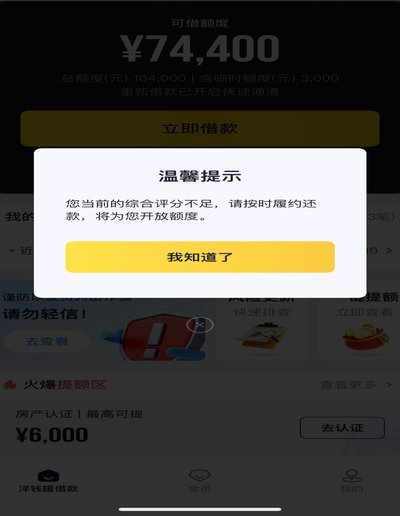 羊小咩有额度是不是就能下款