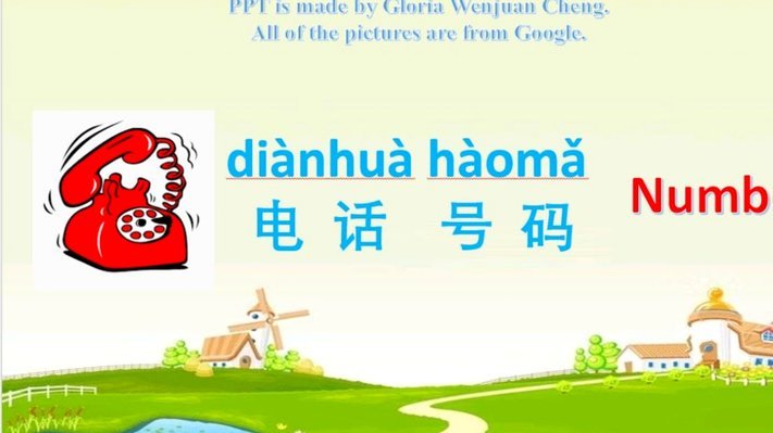 官方号码、联系方式和实用查询指南