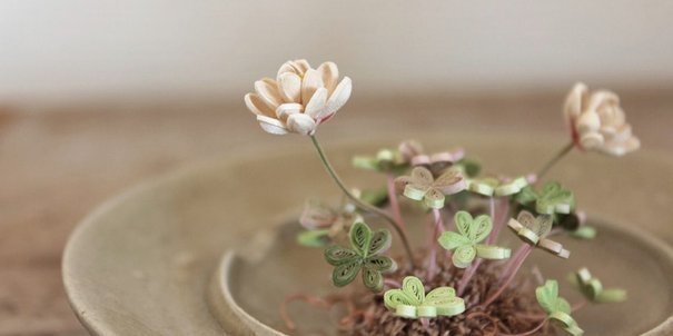 享花卡能提现吗？解开谜题