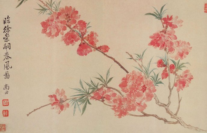 花呗套贴吧 现金违法吗