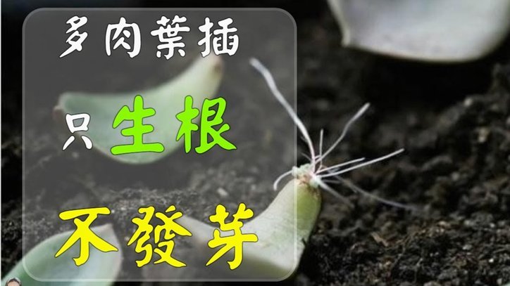 如何在合规边缘安全套现花呗