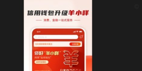 羊小咩怎么返现