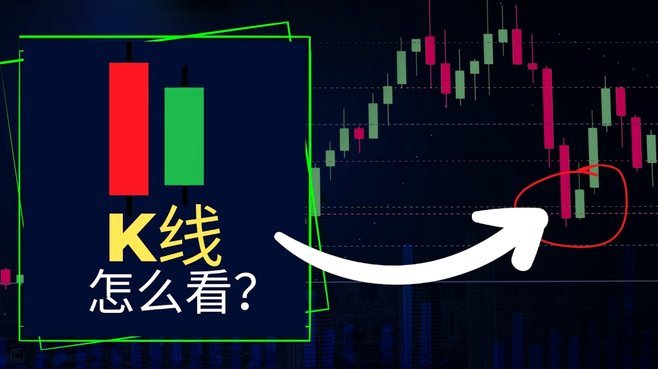 解密数据世界：从零掌握数据分析基础