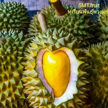 拍拍贷借款怎么用：轻松解决各类资金需求