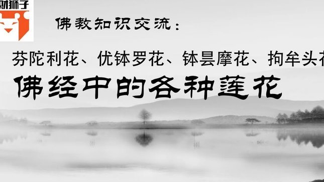 套花呗的软件有哪些