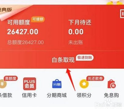 白条取出额度商家