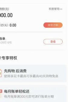 羊小咩购物分期额度，算法是如何动态设定的？