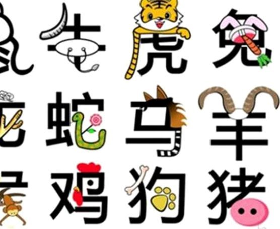 得物怎么看消费总金额