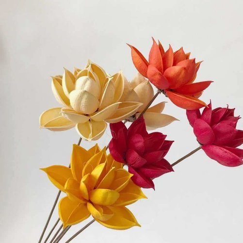 花呗支付赢现金