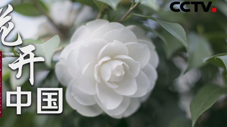 携程拿去花套现手续费多少？
