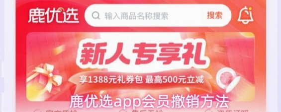 鹿优选怎么借款