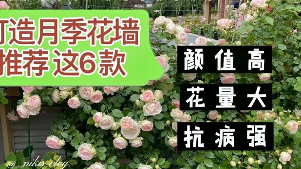 花呗平台 怎么提前还款