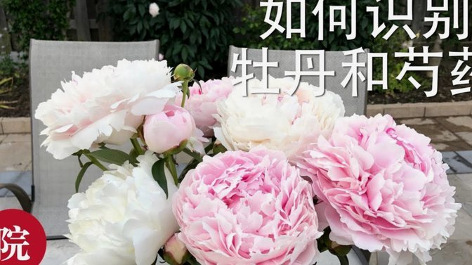 携程“拿去花”能否跨平台使用？