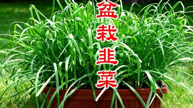 拿去花里面的钱怎样才能套出来