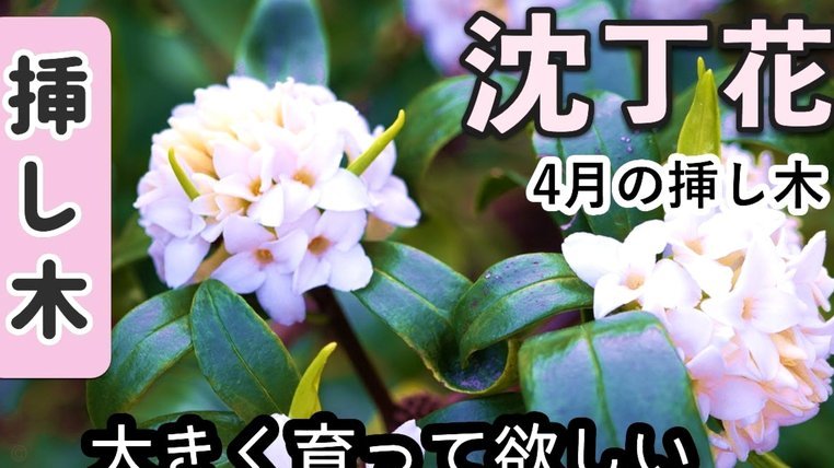 花呗套现暗藏风险，小心诈骗陷阱