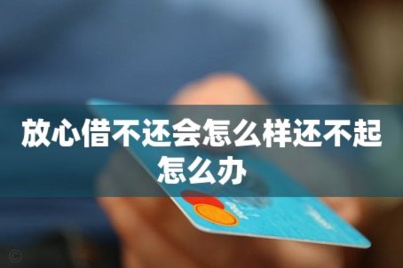 在放心借借了钱还不了怎么办