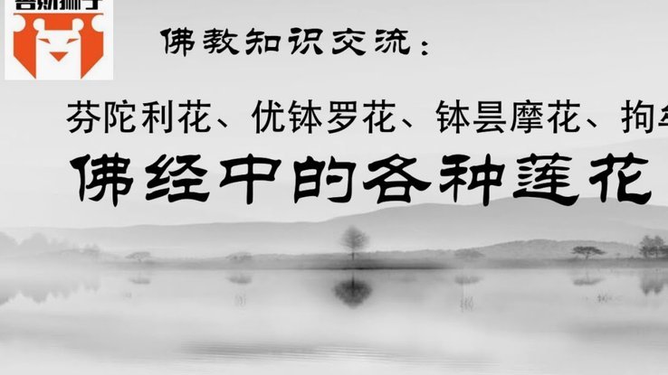 携程拿去花为什么用不了