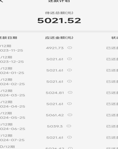 掌握这些实用技巧，让你的拍拍贷还款变得更轻松高效