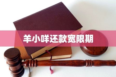 羊小咩平台靠谱吗？深度解析