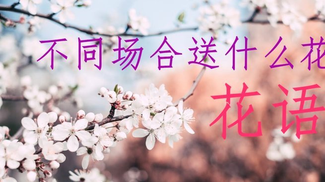 拿去花自己怎么套出来